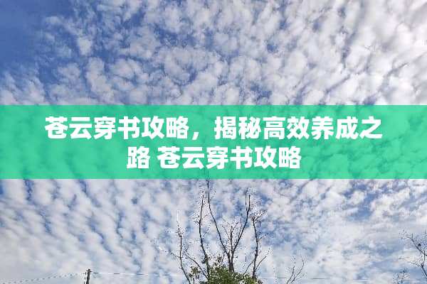 苍云穿书攻略，揭秘高效养成之路 苍云穿书攻略