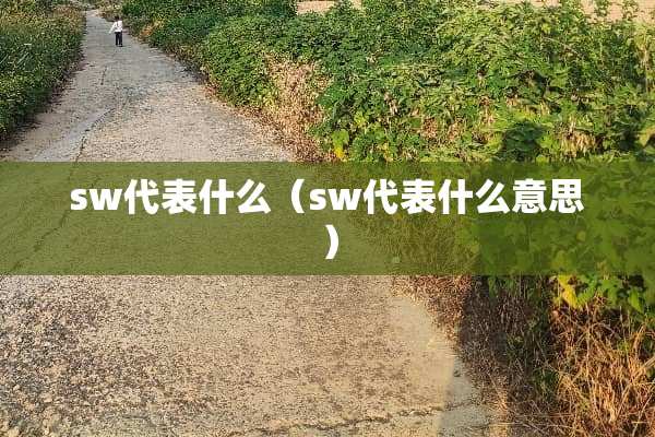 sw代表什么（sw代表什么意思）