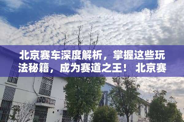 北京赛车深度解析，掌握这些玩法秘籍，成为赛道之王！ 北京赛车玩法说明