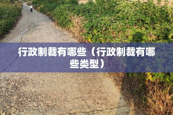 行政制裁有哪些（行政制裁有哪些类型）