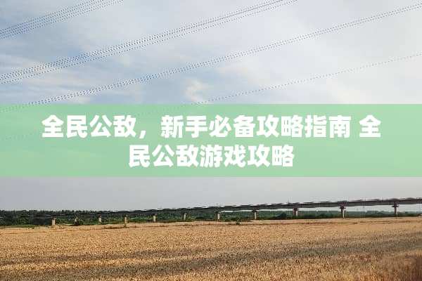 全民公敌，新手必备攻略指南 全民公敌游戏攻略