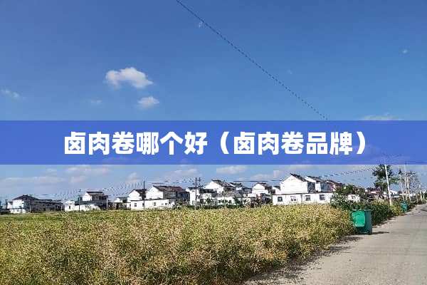 卤肉卷哪个好（卤肉卷品牌）