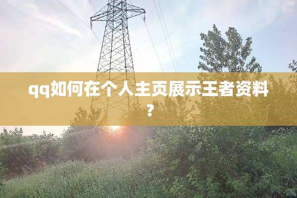 qq如何在个人主页展示王者资料？