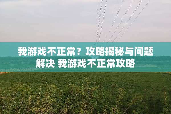 我游戏不正常？攻略揭秘与问题解决 我游戏不正常攻略
