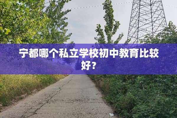 宁都哪个私立学校初中教育比较好？