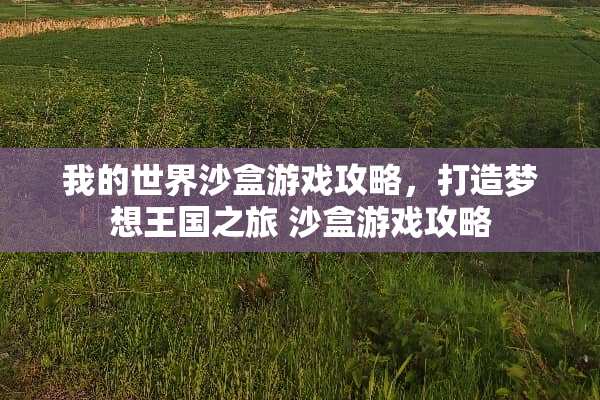 我的世界沙盒游戏攻略，打造梦想王国之旅 沙盒游戏攻略