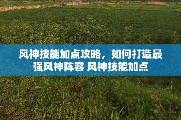 风神技能加点攻略,如何打造最强风神阵容 风神技能加点 风神技能加点攻略,如何打造最强风神阵容 风神技能加点