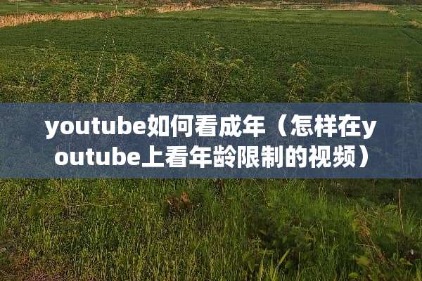 youtube如何看成年（怎样在youtube上看年龄限制的视频）