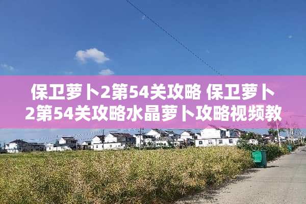 保卫萝卜2第54关攻略 保卫萝卜2第54关攻略水晶萝卜攻略视频教程 保卫萝卜2第54关攻略 保卫萝卜2第54关攻略水晶萝卜攻略视频教程