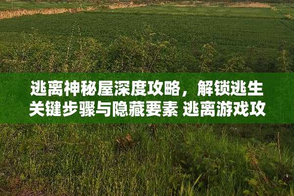 逃离神秘屋深度攻略,解锁逃生关键步骤与隐藏要素 逃离游戏攻略 逃离神秘屋深度攻略,解锁逃生关键步骤与隐藏要素 逃离游戏攻略