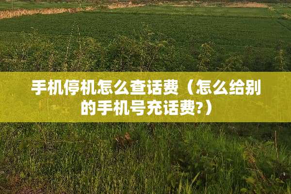 手机停机怎么查话费（怎么给别的手机号充话费?）