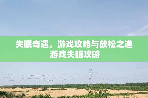 失眠奇遇，游戏攻略与放松之道 游戏失眠攻略
