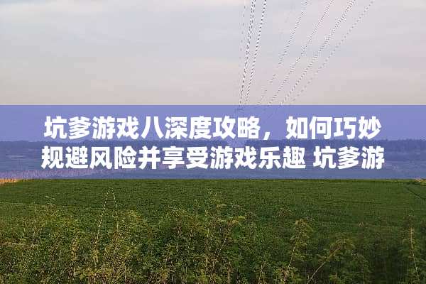 坑爹游戏八深度攻略，如何巧妙规避风险并享受游戏乐趣 坑爹游戏八的攻略