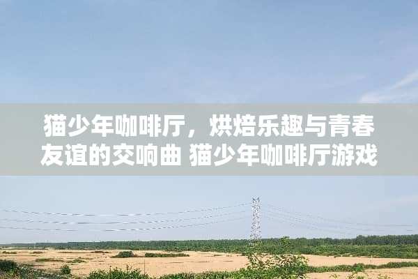 猫少年咖啡厅，烘焙乐趣与青春友谊的交响曲 猫少年咖啡厅游戏攻略