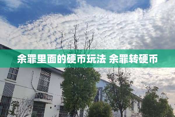 余罪里面的**玩法 余罪转**