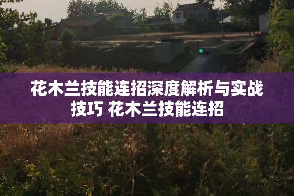 花木兰技能连招深度解析与实战技巧 花木兰技能连招