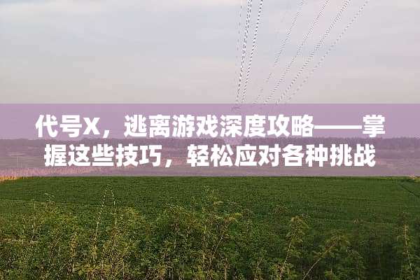 代号X，逃离游戏深度攻略——掌握这些技巧，轻松应对各种挑战 代号x逃离游戏攻略