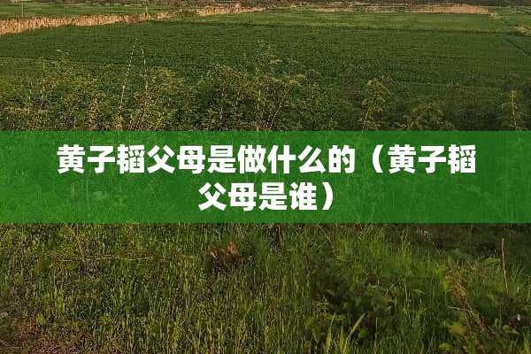 黄子韬父母是做什么的（黄子韬父母是谁）