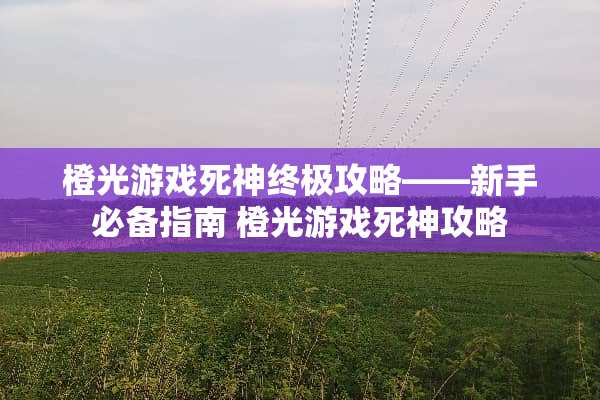 橙光游戏死神终极攻略——新手必备指南 橙光游戏死神攻略