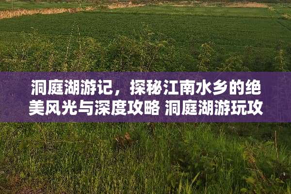 洞庭湖游记，探秘江南水乡的绝美风光与深度攻略 洞庭湖游玩攻略