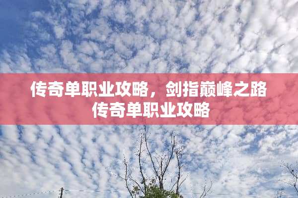 传奇单职业攻略,剑指巅峰之路 传奇单职业攻略 传奇单职业攻略,剑指巅峰之路 传奇单职业攻略