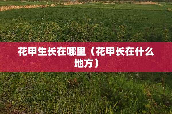 花甲生长在哪里(花甲长在什么地方) 花甲生长在哪里(花甲长在什么地方)