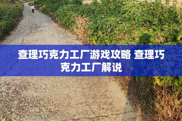 查理巧克力工厂游戏攻略 查理巧克力工厂解说 查理巧克力工厂游戏攻略 查理巧克力工厂解说