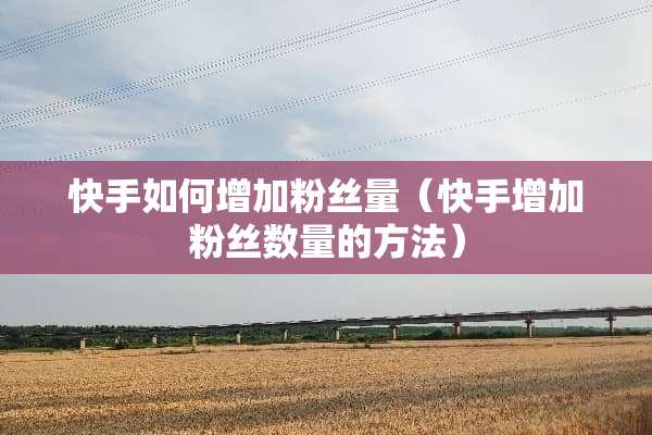 快手如何增加粉丝量(快手增加粉丝数量的方法) 快手如何增加粉丝量(快手增加粉丝数量的方法)