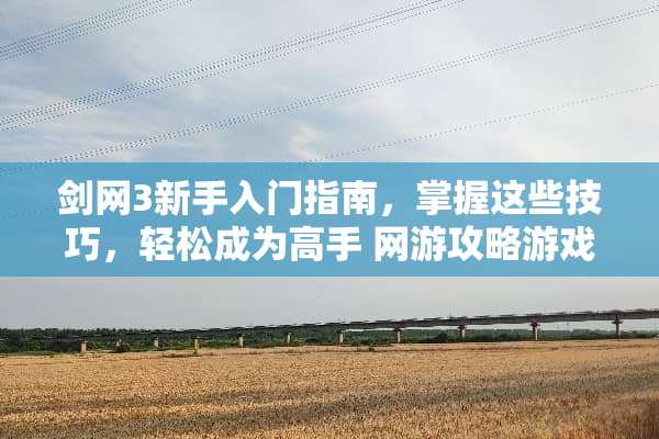 剑网3新手入门指南，掌握这些技巧，轻松成为高手 网游攻略游戏