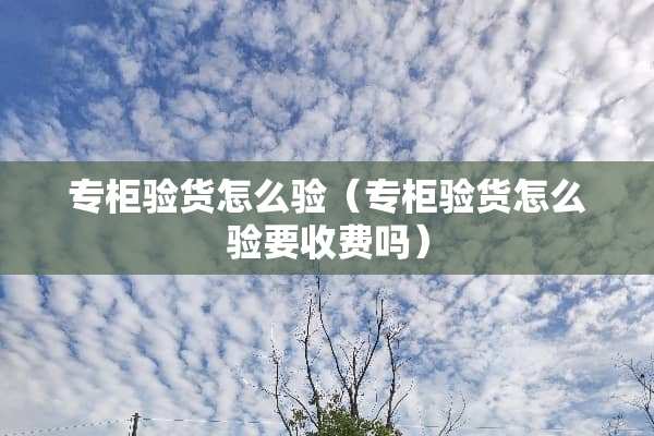 专柜验货怎么验（专柜验货怎么验要收费吗）