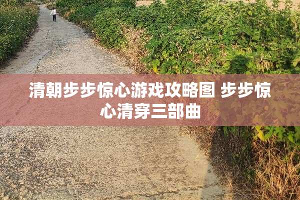 清朝步步惊心游戏攻略图 步步惊心清穿三部曲