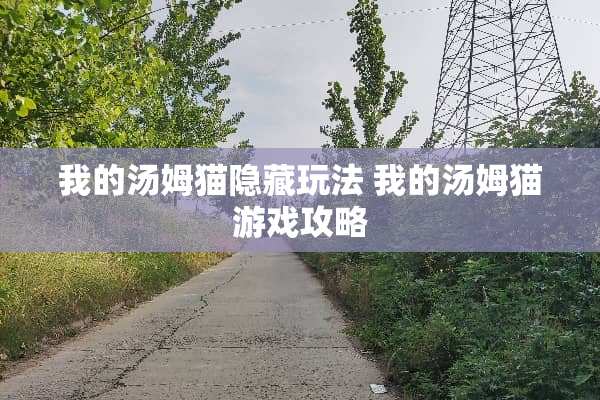 我的汤姆猫隐藏玩法 我的汤姆猫游戏攻略