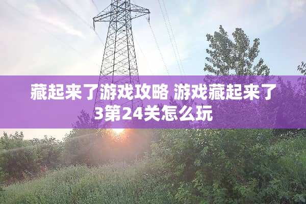 藏起来了游戏攻略 游戏藏起来了3第24关怎么玩