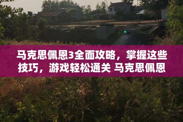 马克思佩恩3全面攻略,掌握这些技巧,游戏轻松通关 马克思佩恩3攻略 马克思佩恩3全面攻略,掌握这些技巧,游戏轻松通关 马克思佩恩3攻略