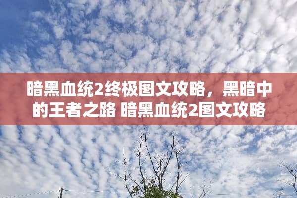 暗黑血统2终极图文攻略，黑暗中的王者之路 暗黑血统2图文攻略