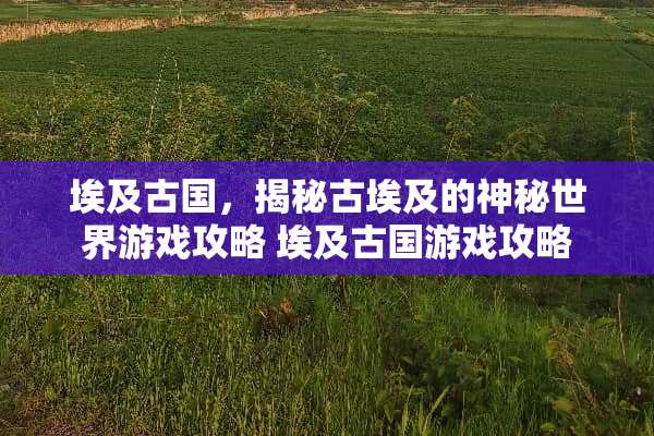 埃及古国，揭秘古埃及的神秘世界游戏攻略 埃及古国游戏攻略