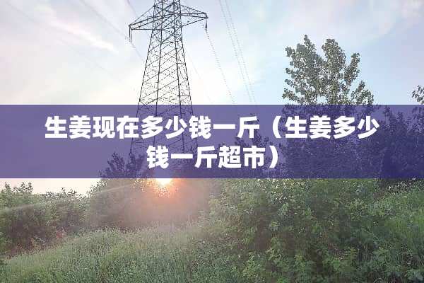 生姜现在多少钱一斤（生姜多少钱一斤超市）