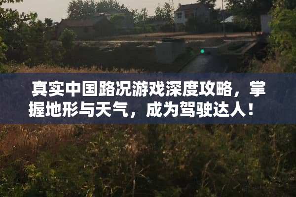 真实中国路况游戏深度攻略，掌握地形与天气，成为驾驶达人！ 真实中国路况游戏攻略