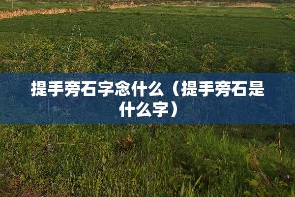 提手旁石字念什么(提手旁石是什么字) 提手旁石字念什么(提手旁石是什么字)