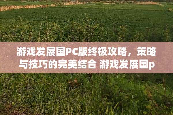 游戏发展国PC版终极攻略，策略与技巧的完美结合 游戏发展国pc版攻略
