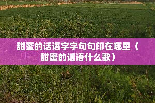 甜蜜的话语字字句句印在哪里（甜蜜的话语什么歌）