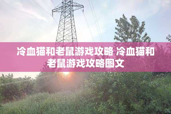 冷血猫和老鼠游戏攻略 冷血猫和老鼠游戏攻略图文 冷血猫和老鼠游戏攻略 冷血猫和老鼠游戏攻略图文
