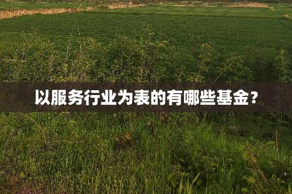 以服务行业为表的有哪些基金？