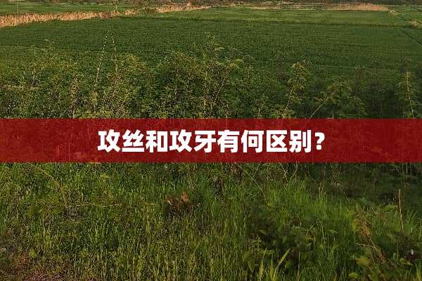 攻丝和攻牙有何区别？