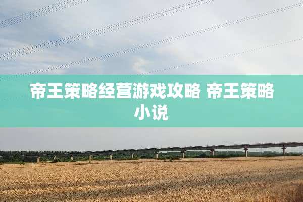 帝王策略经营游戏攻略 帝王策略小说