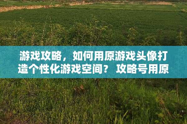 游戏攻略,如何用原游戏头像打造个性化游戏空间? 攻略号用原游戏头像 游戏攻略,如何用原游戏头像打造个性化游戏空间? 攻略号用原游戏头像