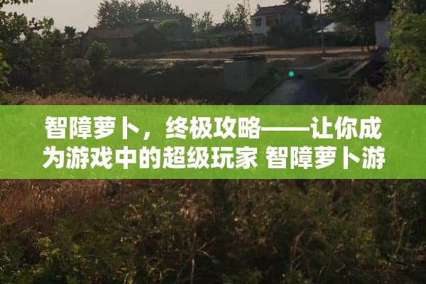 智障萝卜，终极攻略——让你成为游戏中的超级玩家 智障萝卜游戏攻略