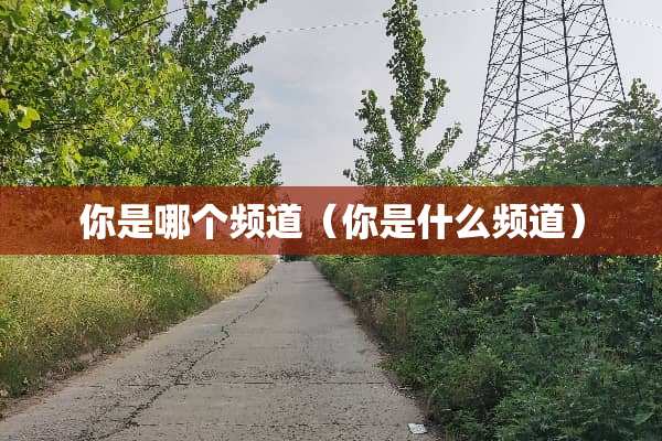 你是哪个频道(你是什么频道) 你是哪个频道(你是什么频道)
