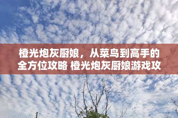 橙光*灰厨娘，从菜鸟到高手的全方位攻略 橙光*灰厨娘游戏攻略