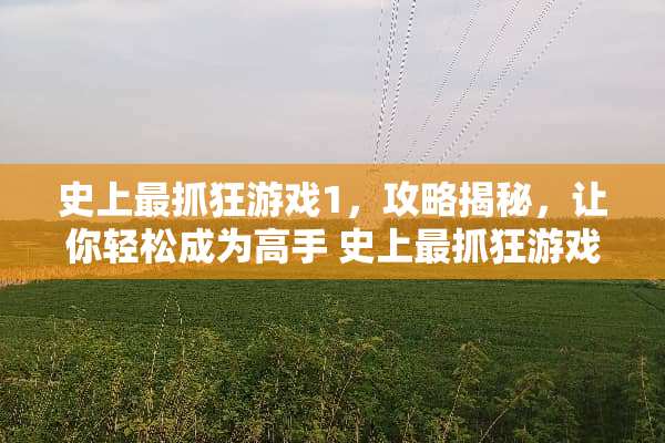 史上最抓狂游戏1，攻略揭秘，让你轻松成为高手 史上最抓狂游戏1攻略